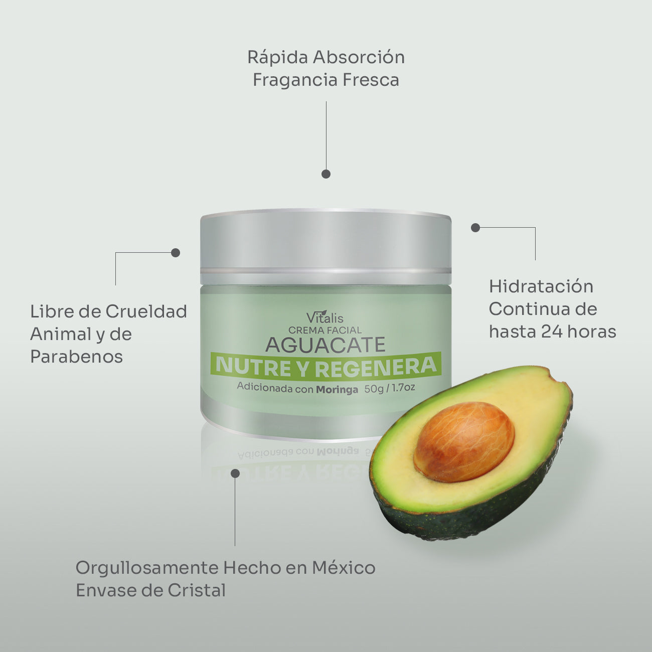 Crema Facial Vitalis Aguacate y Moringa Hidratación y Antioxidantes